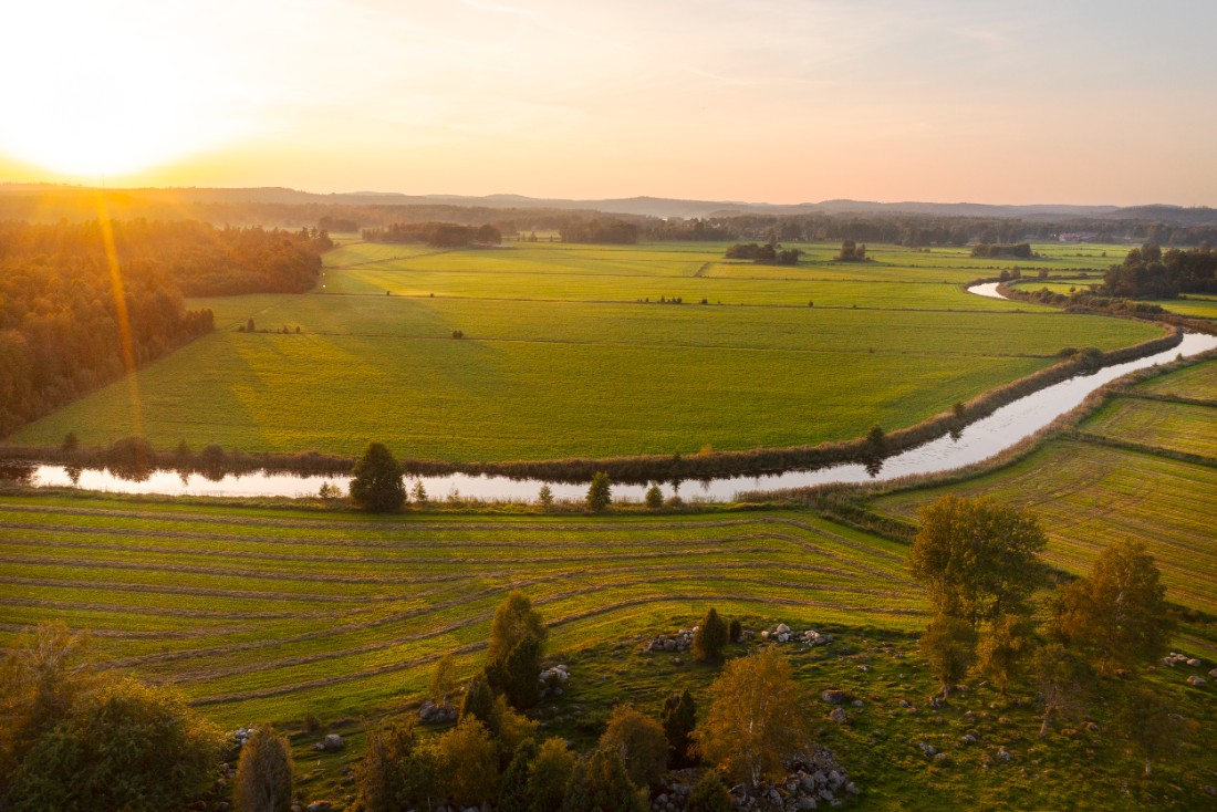 Odlingslandskap