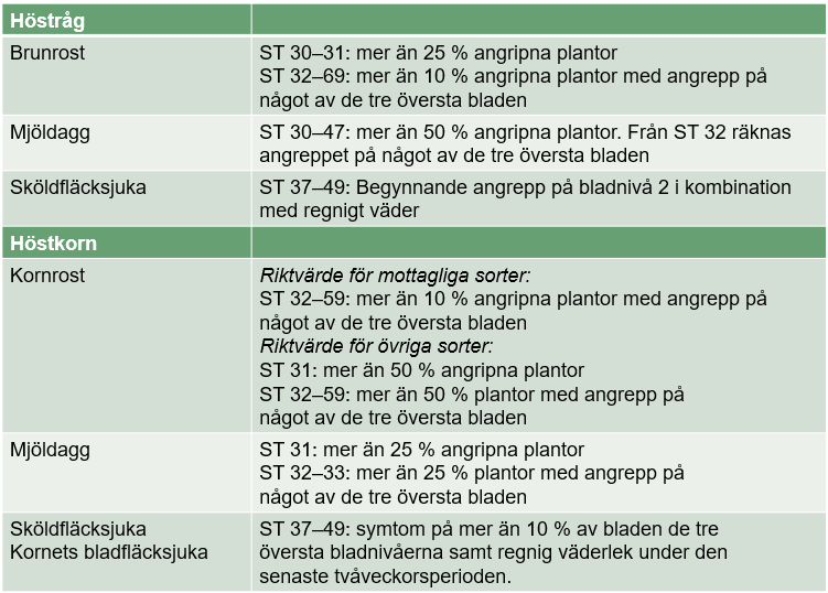 riskvärdering tabell