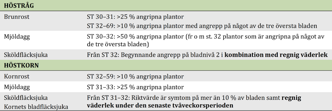 Riktvärden för bekämpning i tidig stråskjutning i höstråg och höstkorn. För brunrost, mjöldagg och sköldfläcksjuka i höstråg samt kornrost,  mjöldagg, sköldfläcksjuka och kornets bladfläcksjuka i höstkorn se ytterligare information i växtskyddsinfo.