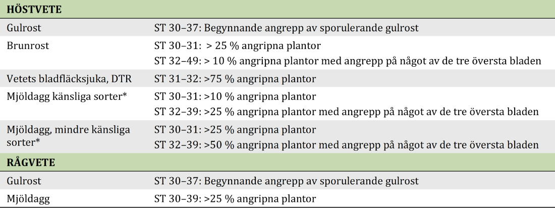 Riktvärden för bekämpning i tidig stråskjutning i höst och rågvete. För gulrost, brunrost, vetets bladfläcksjuka och mjöldagg i höstvete samt gulrost och mjöldagg i rågvete se ytterligare information i växtskyddsinfo.