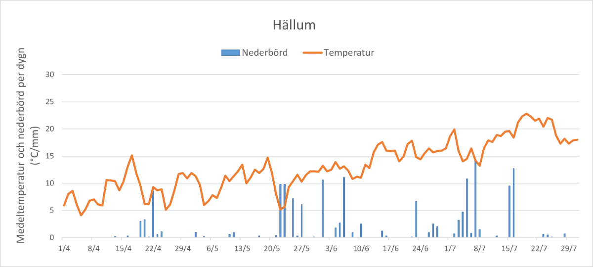 Nederbörd och temperatur vår 2025