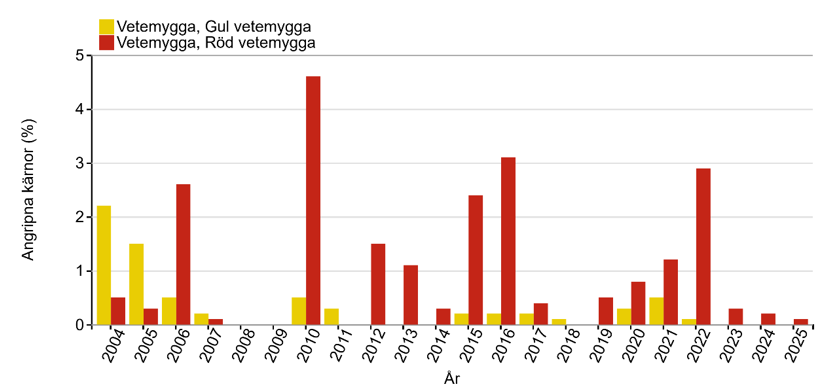 Stapeldiagram som visar att årets värde för vetemyggor var lågt jämfört med andra år.