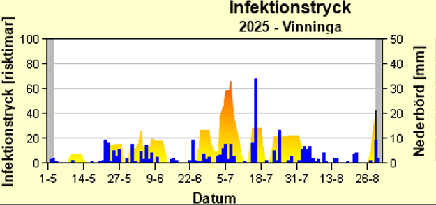 Skimmelstyrning potatisbladmögel